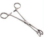 Pinza Foerster Recta
